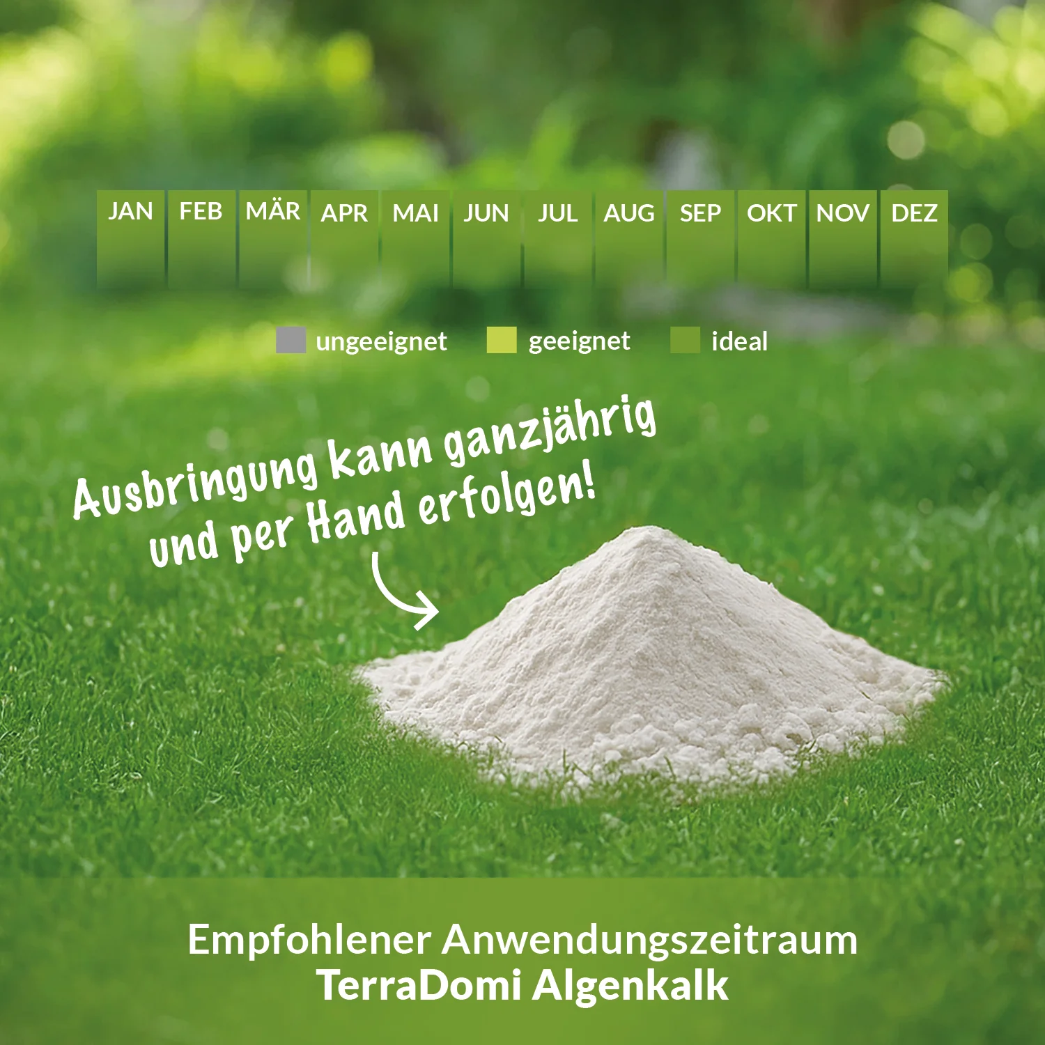 TerraDomi Algenkalk | 100% echter Meereskalk zur Stärkung der Widerstandsfähigkeit - Image 6