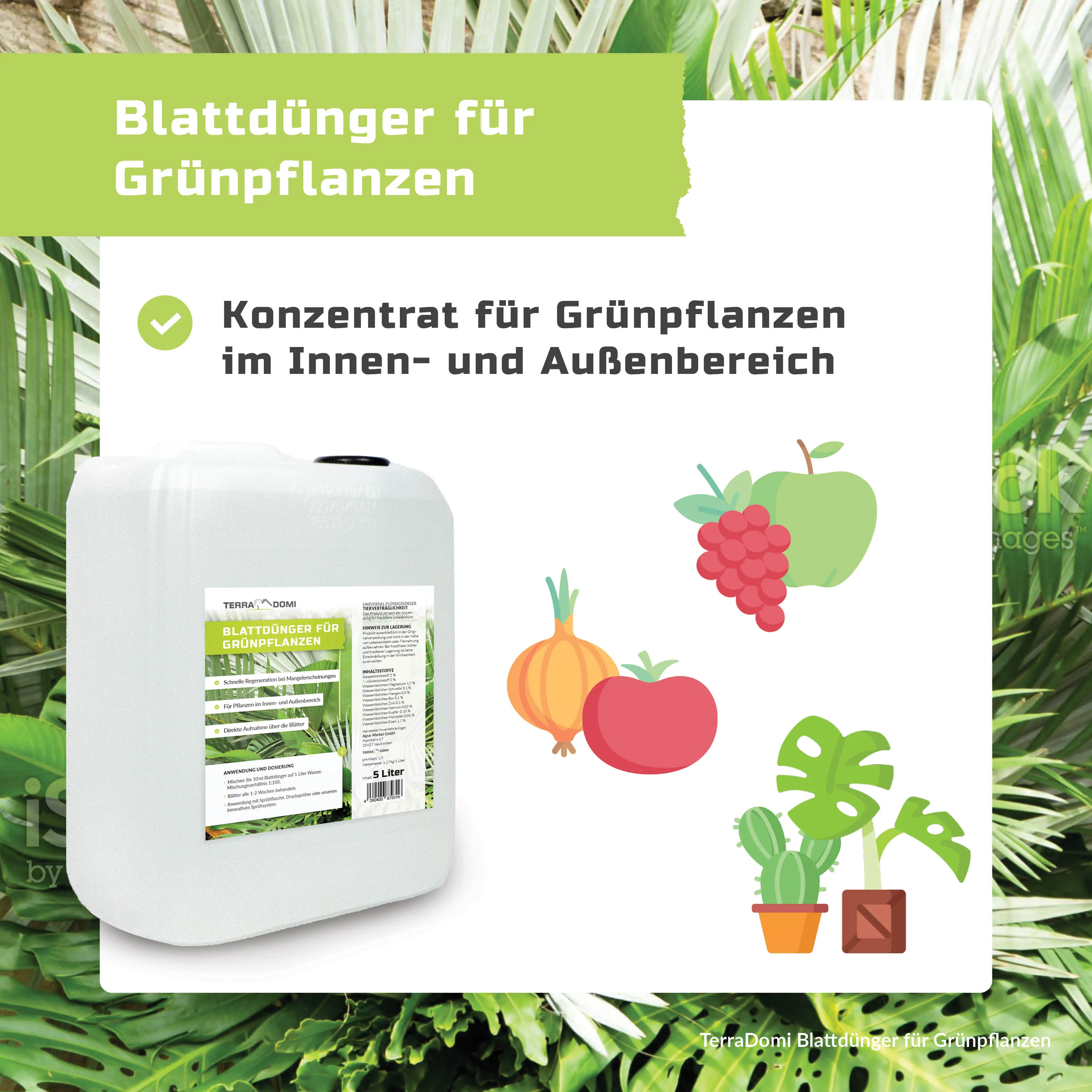 TerraDomi Blattdünger für Grünpflanzen | Für Palmen, Kakteen und andere Pflanzen - Image 4