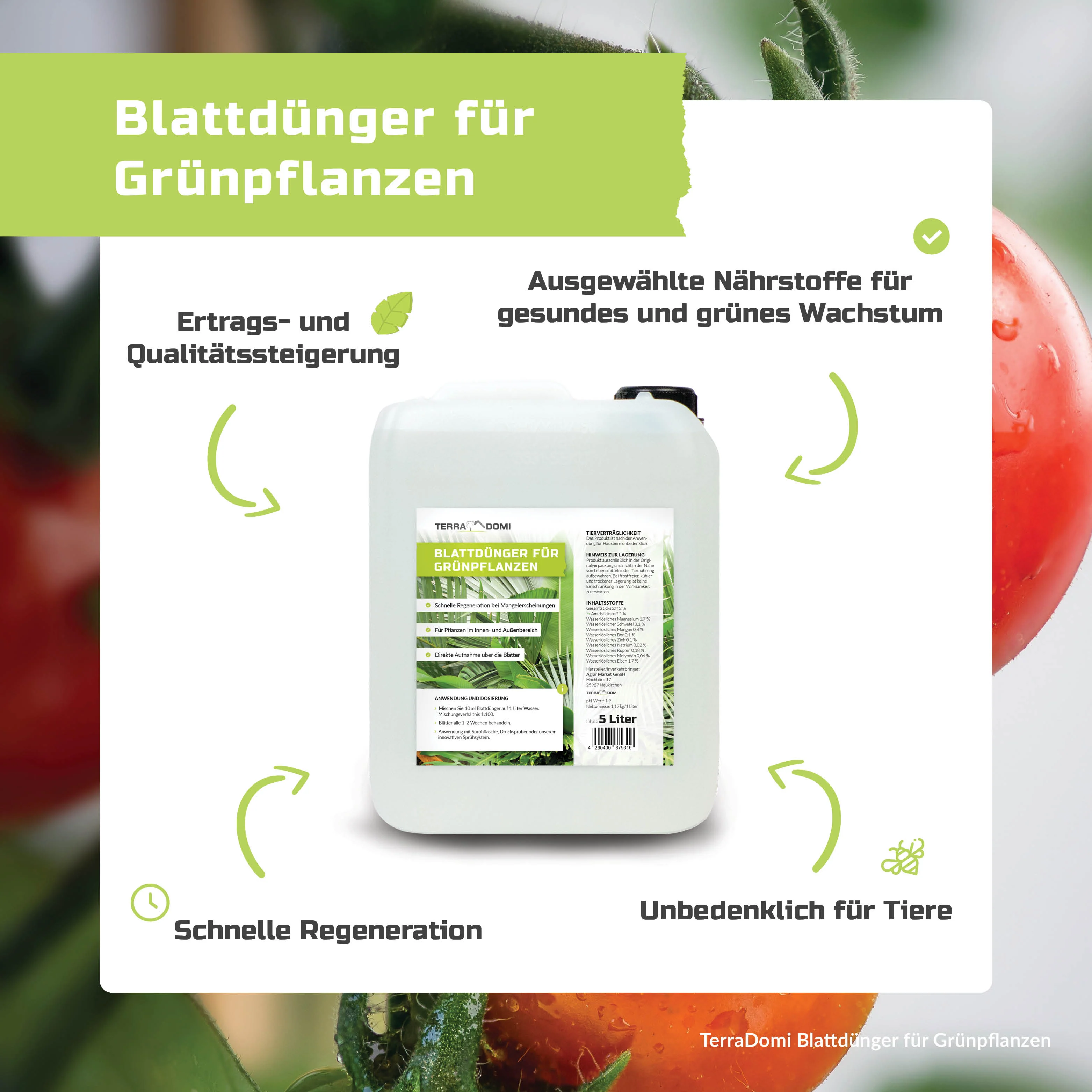 TerraDomi Blattdünger für Grünpflanzen | Für Palmen, Kakteen und andere Pflanzen - Image 5