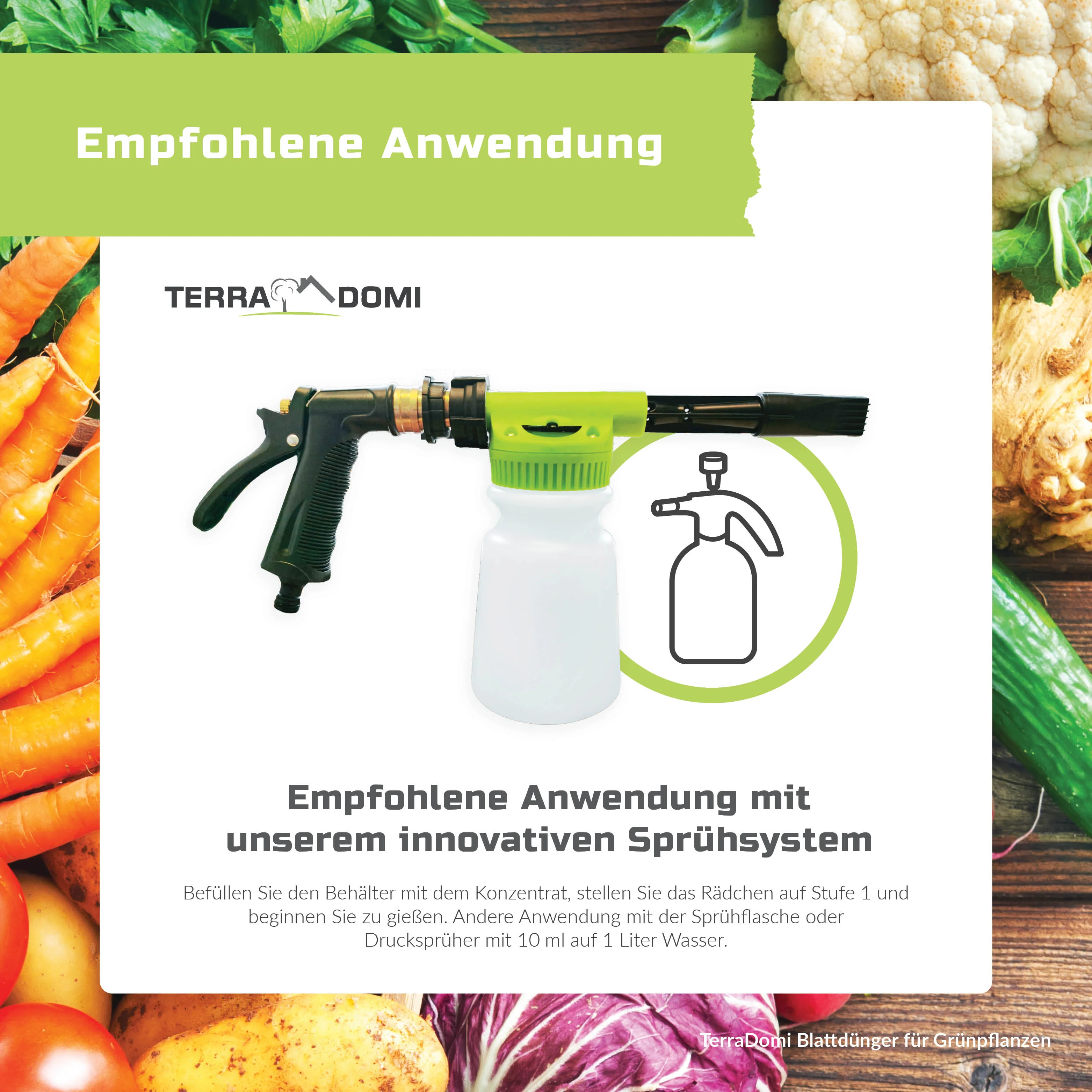 TerraDomi Blattdünger für Grünpflanzen | Für Palmen, Kakteen und andere Pflanzen - Image 6