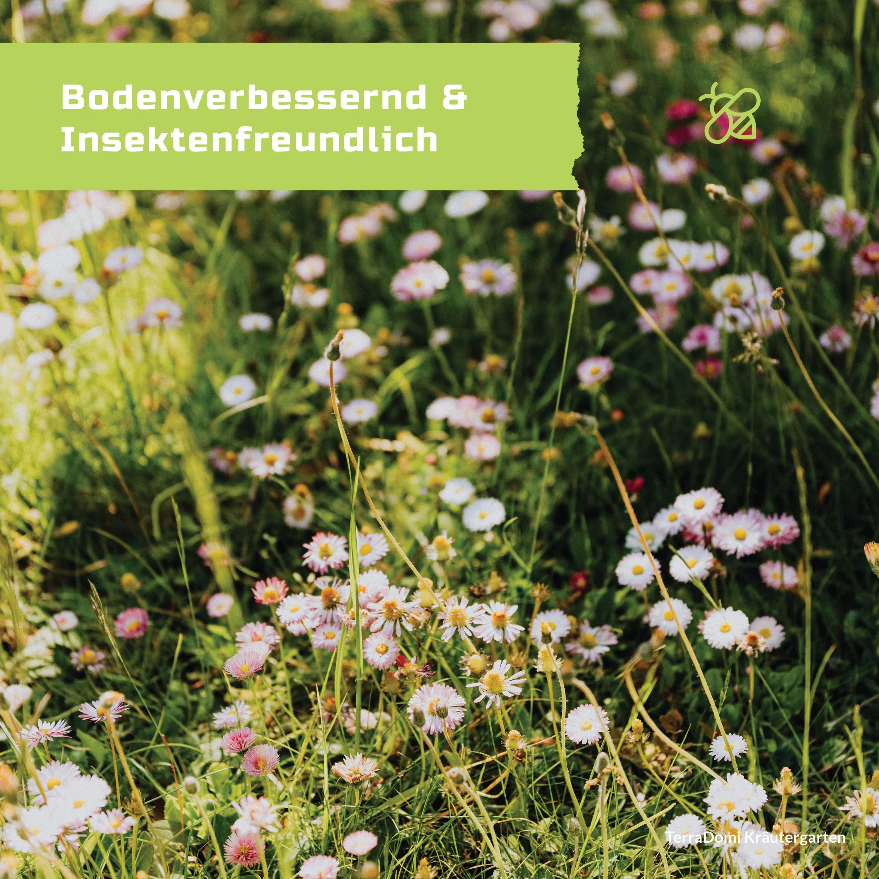 Kräuter-Garten 300g I Mischung mit duftigen Kräutern - Image 4