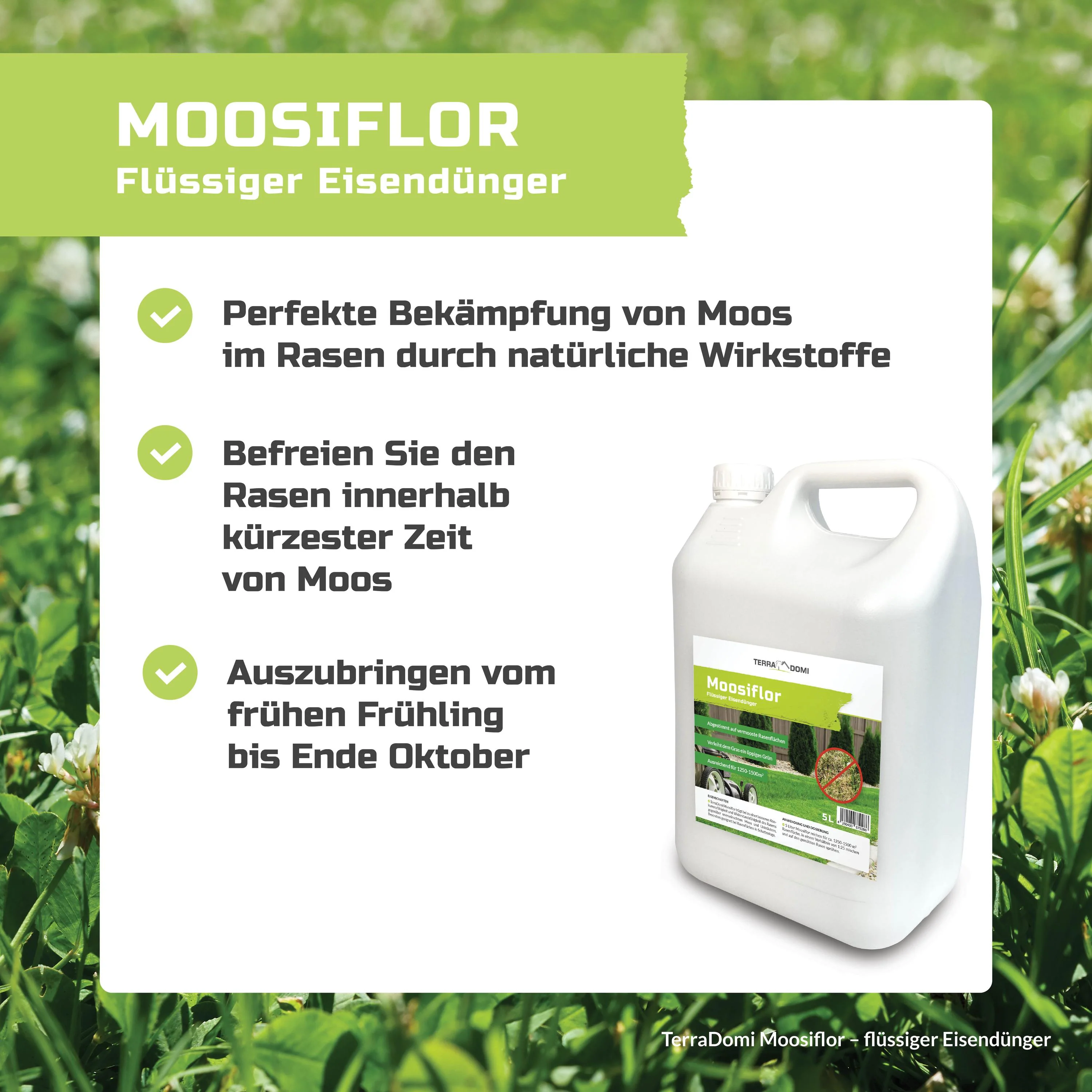 TerraDomi Moosiflor | flüssiger Eisendünger für vermooste Rasenflächen - Image 3