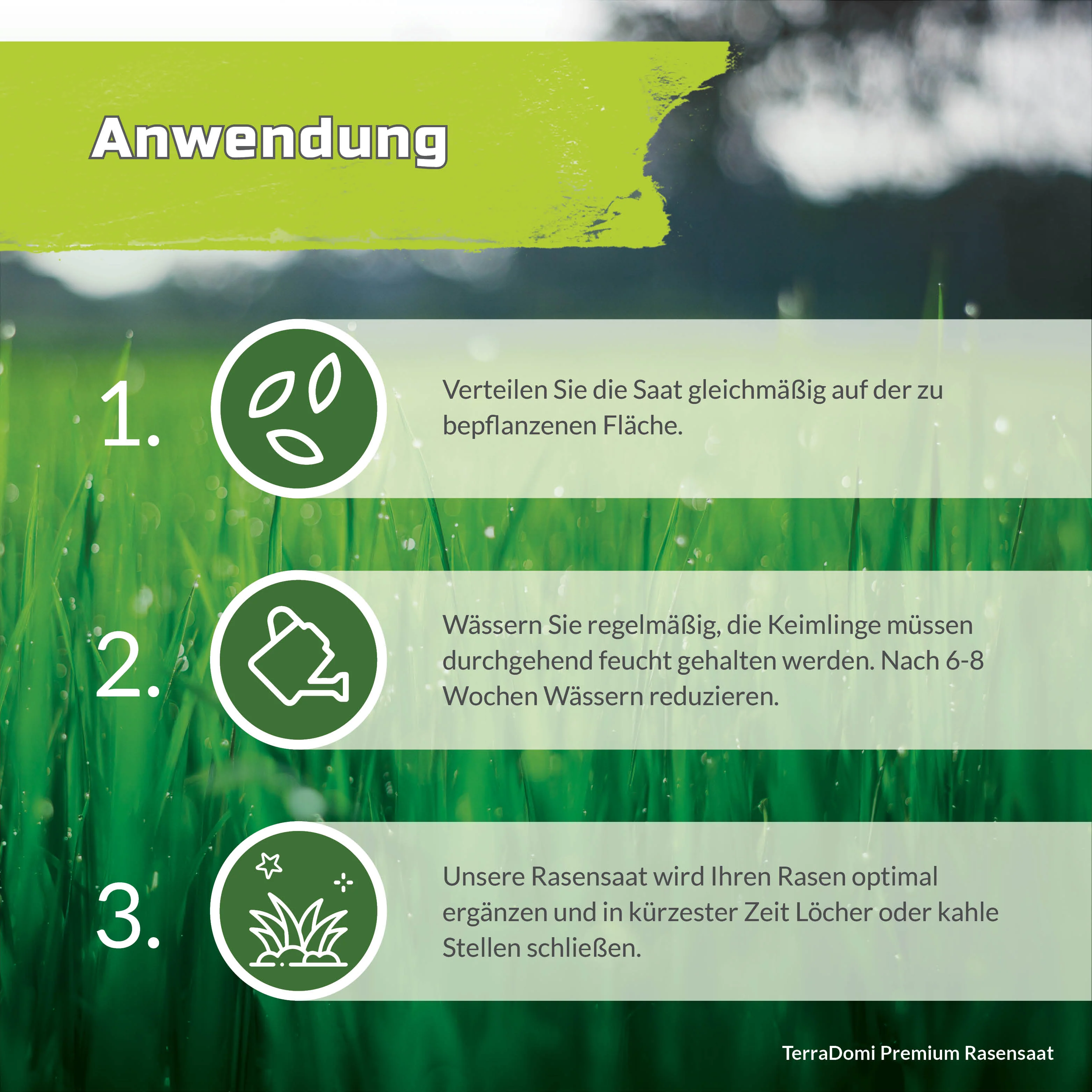 Premium Rasensamen für An- & Nachsaat I strapazierfähige und robuste Rasensaat der Greenkeeper - Image 10