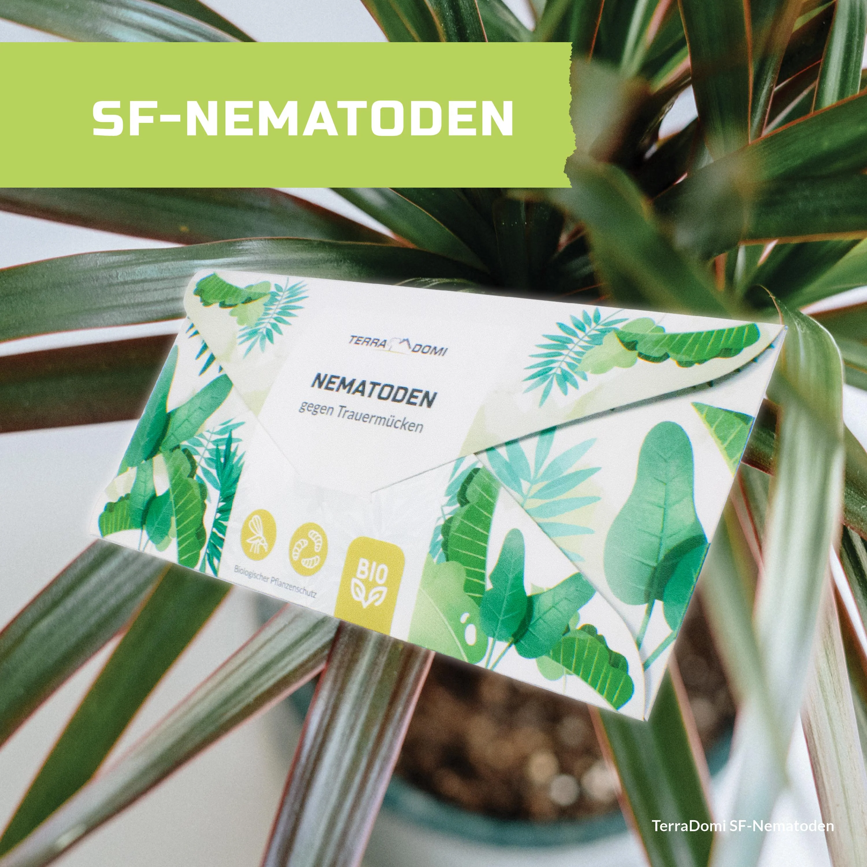 TerraDomi SF Nematoden gegen Trauermücken - Image 3