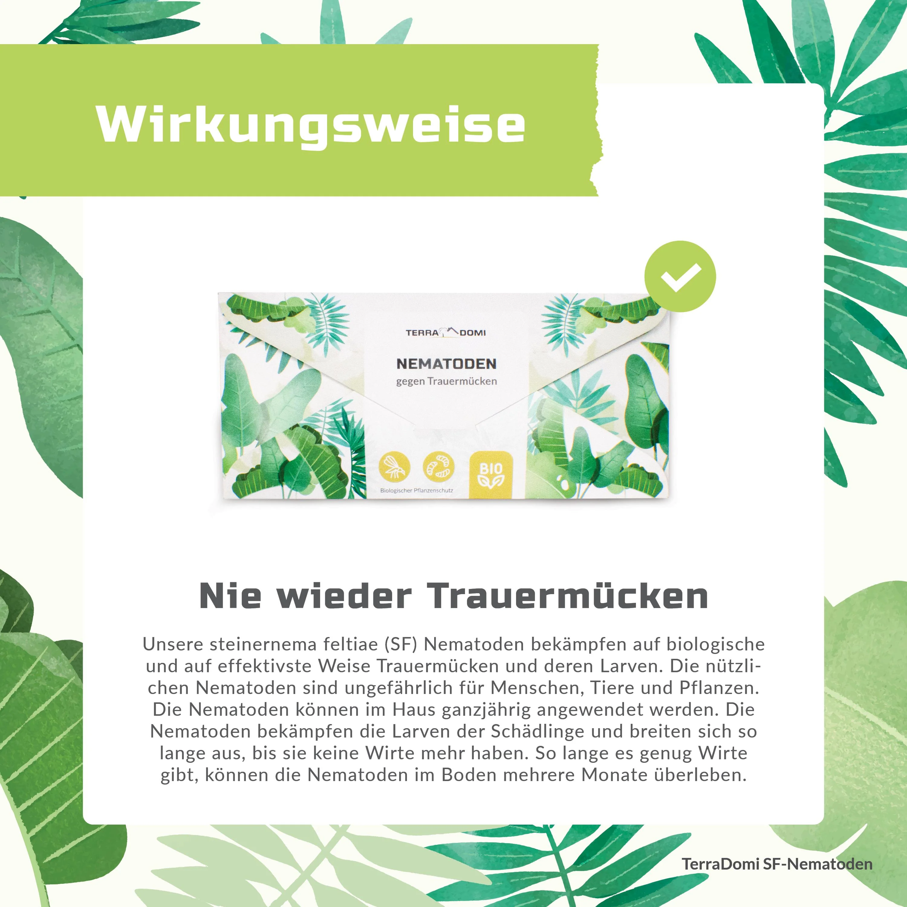 TerraDomi SF Nematoden gegen Trauermücken - Image 8
