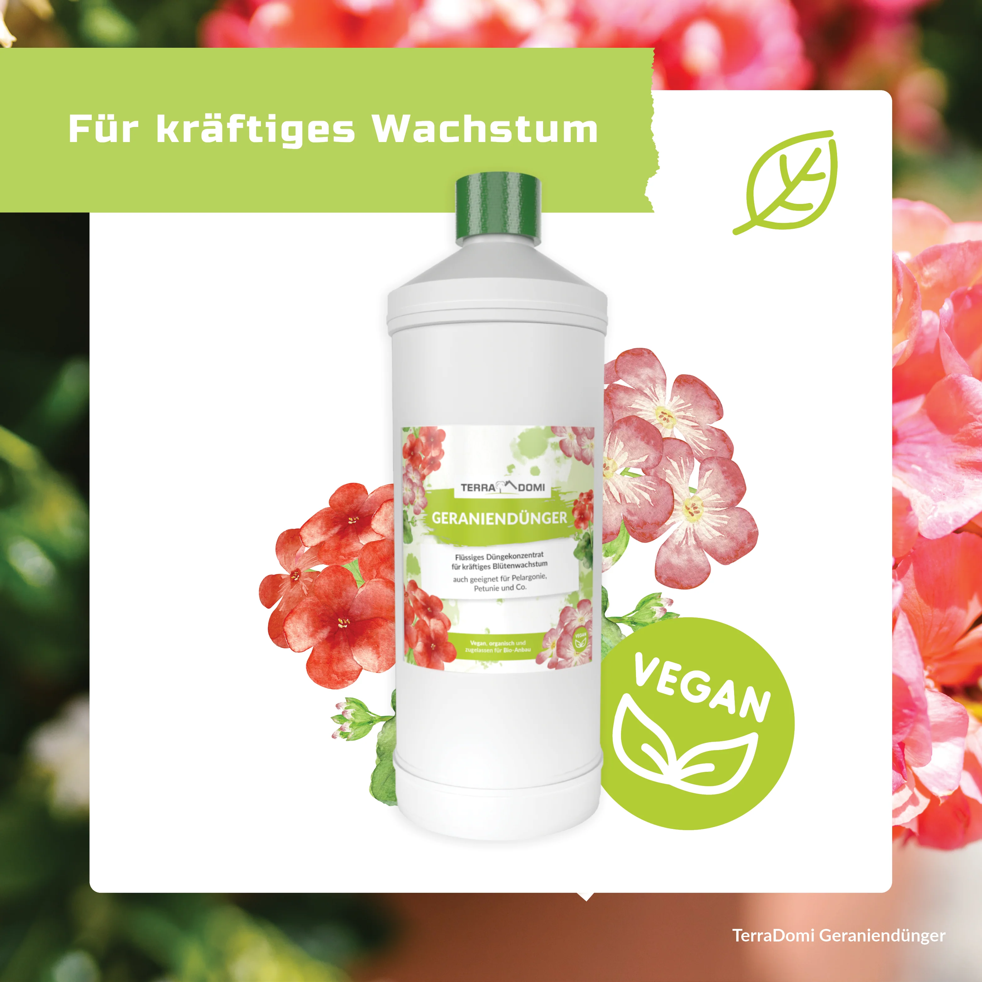 TerraDomi Geraniendünger 1 Liter Flüssigdünger Konzentrat - Image 4