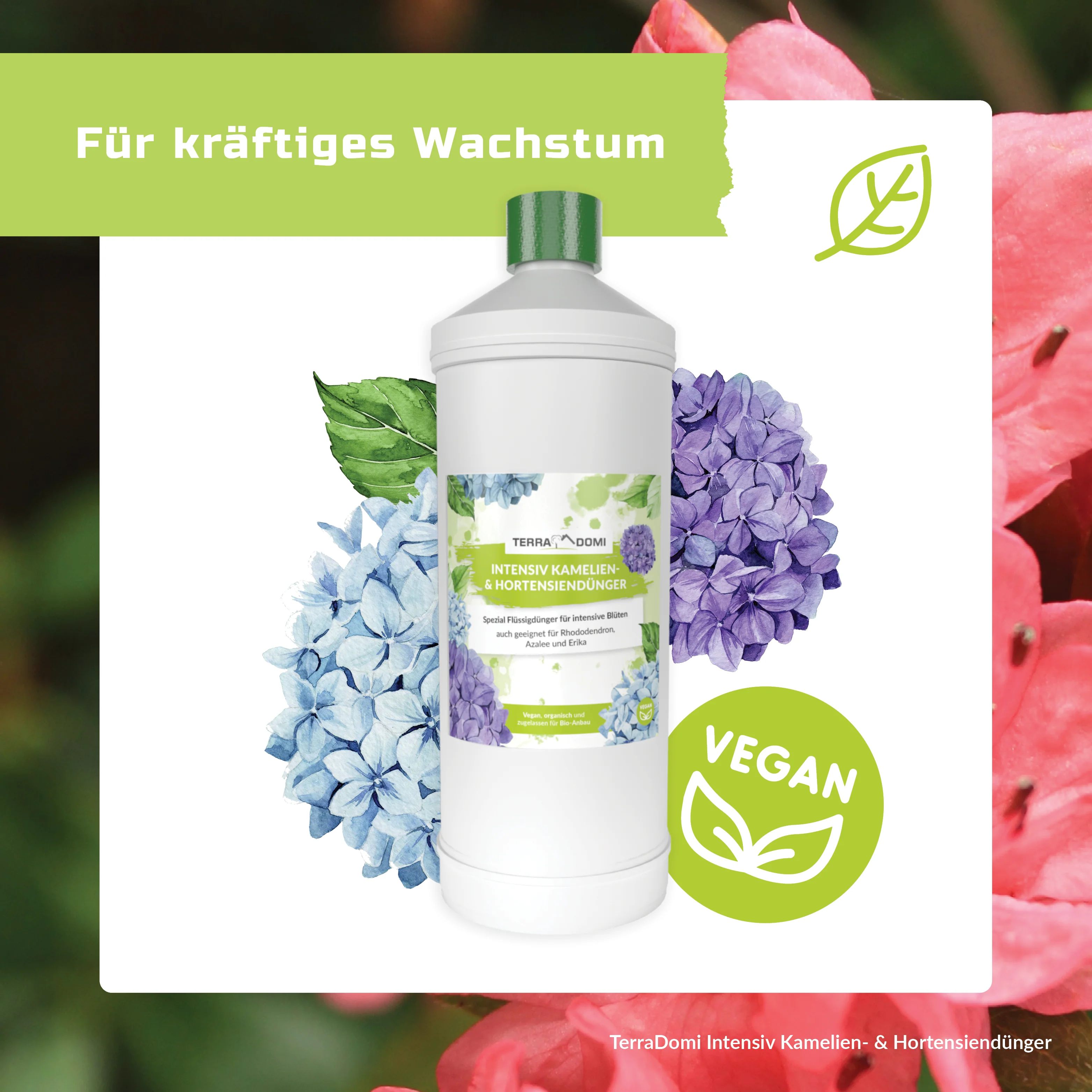 TerraDomi Kamelien- und Hortensiendünger 1 Liter Flüssigdünger Konzentrat - Image 4