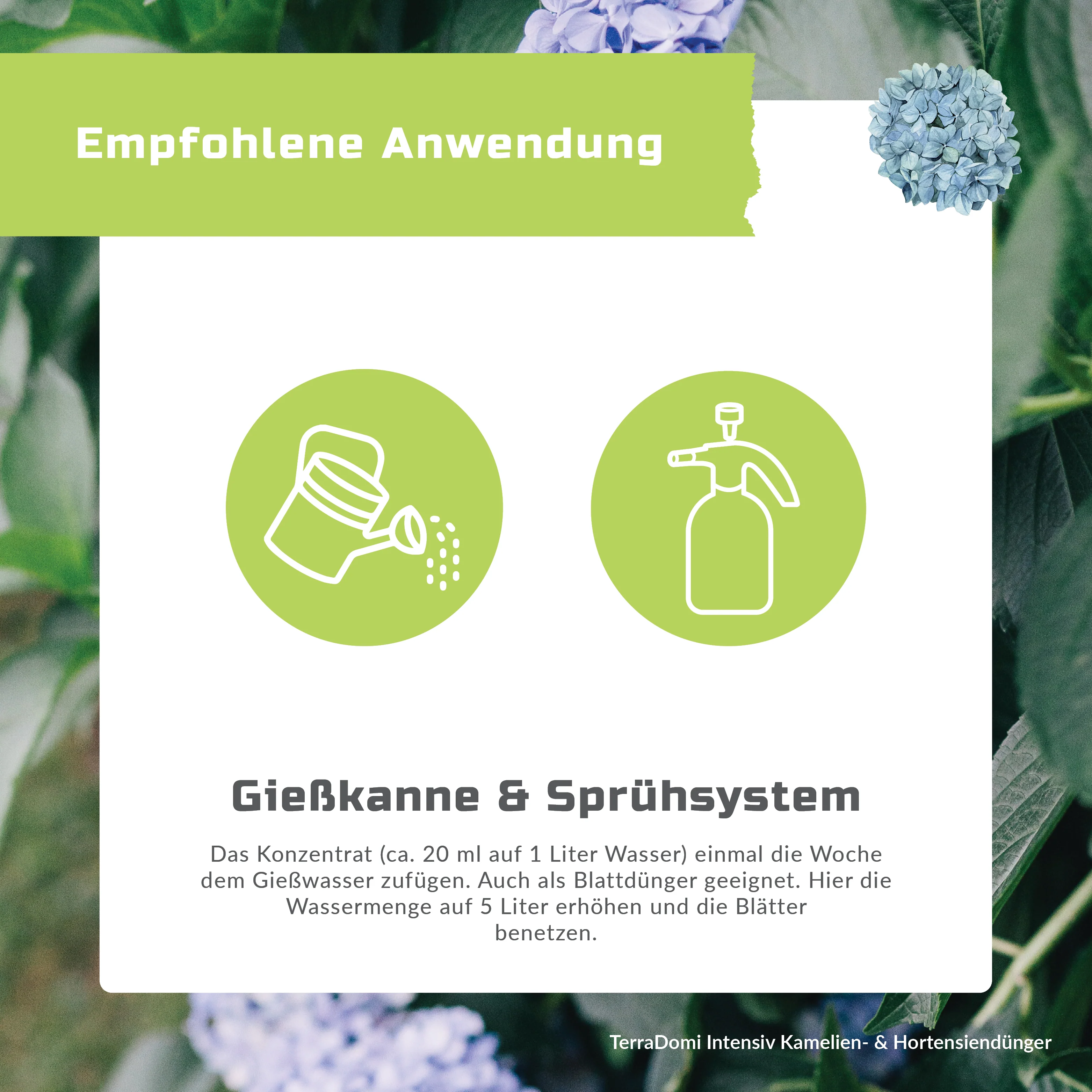 TerraDomi Kamelien- und Hortensiendünger 1 Liter Flüssigdünger Konzentrat - Image 5