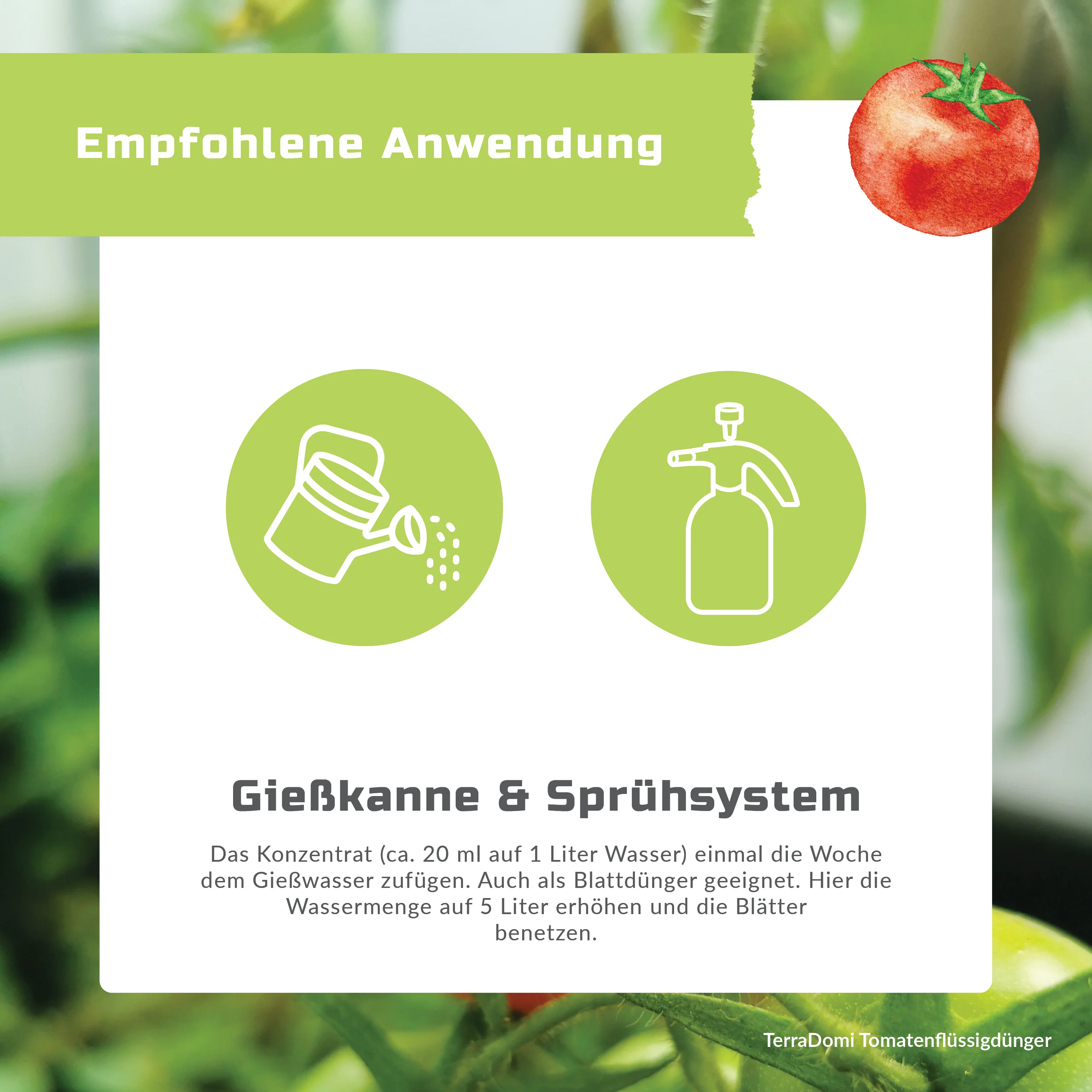 TerraDomi Tomatendünger 1 Liter Flüssigdünger Konzentrat - Image 5