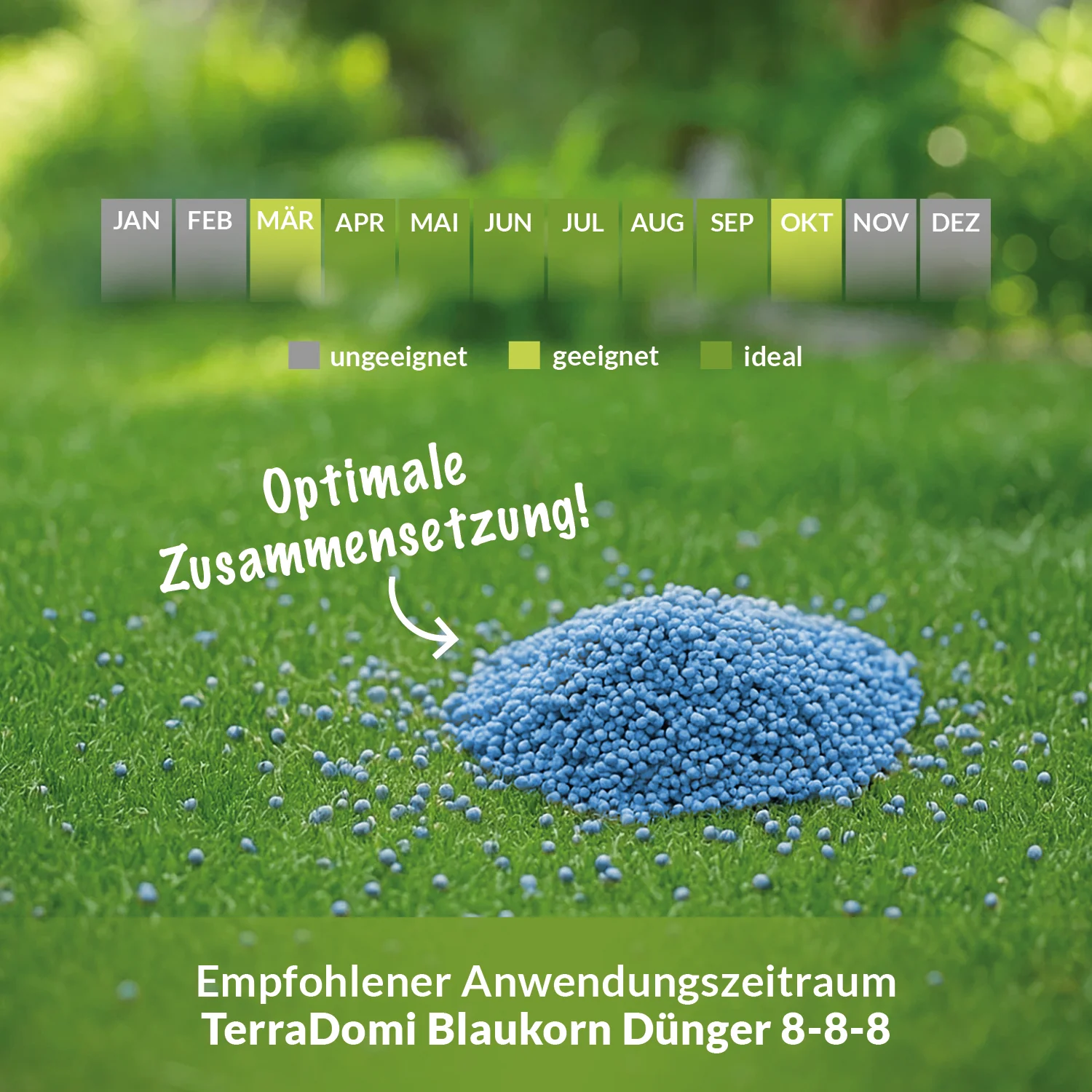Volldünger Blaukorn Classic 8-8-8 - Image 6